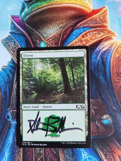 MTG Forest Artist Proof - M19 Regular - Signed By Artist, LP - Image 1