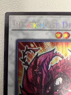Black Rose Dragon L5DD-ENS02 Secret Rare Chibi Art 1st Edition Lightly Played LP - Image 2