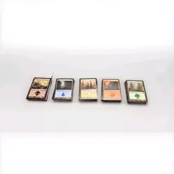 Magic: The Gathering MTG Lot of 200 Basic Lands 5x 40 Cards Each Color - Image 1