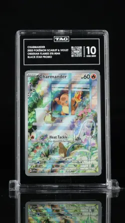 Charmander 044 Sv: Scarlet & Violet Promo Cards Holo TAG 10 Rank 13 - Image 1