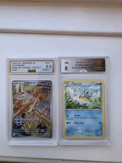 2 x graded pokemon cards squirtle and timburr - Image 1