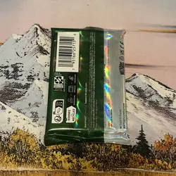 Bloomburrow Collector Booster Pack - English - Magic The Gathering - MTG - Image 2