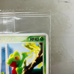 Sealed (EX) Treecko 037/PCG-P Pokemon Center Yokohama Promo Card 2005 Yuka Morii - Image 3