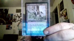 Wooded Foothills Onslaught Regular - Image 1