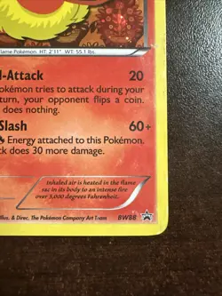 Flareon BW88 Holo DMG Pokemon TCG Black & White Promos DMG - Image 4
