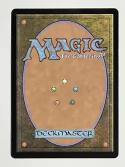 Gloomlake Verge (#260) Non-Foil (Near Mint) - MTG Magic - Image 2