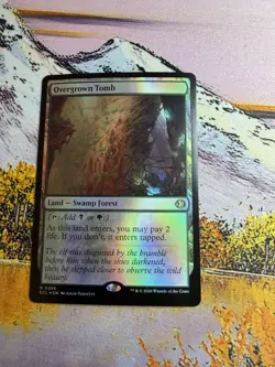 Overgrown Tomb - Foil Lorwyn Eclipsed MTG - Image 2