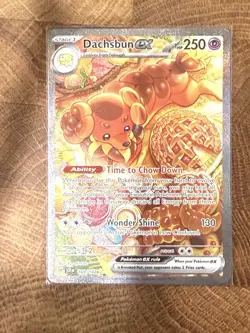 Pokemon: 1x Dachsbun ex - 169/142 - Special Illustration Rare - NM Stellar Crown - Image 1
