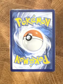 Pokemon: 1x Dachsbun ex - 169/142 - Special Illustration Rare - NM Stellar Crown - Image 4