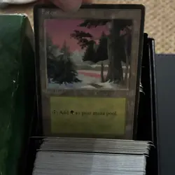 Magic: The Gathering Card Lot Basic Land Plains & Forest White Green - Image 3