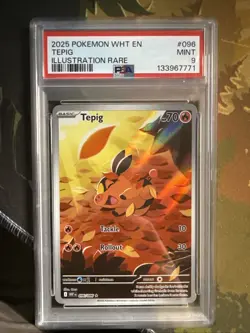 Pokemon 2025 WHT En-White Flare Illustration Rare #096 Tepig PSA 9 - Image 1
