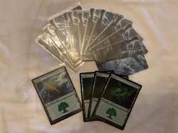 X14 Forest **Foils** ~ NM MTG Edge of Eternities - Image 1