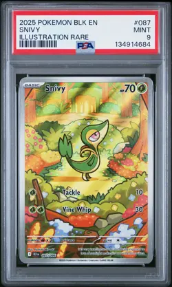 2025 POKEMON BLK EN-BLACK BOLT ILLUSTRATION RARE #087 SNIVY PSA 9 - Image 1