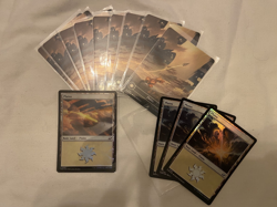X13 Plains **Foils** ~ NM MTG Edge of Eternities - Image 1