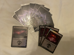 X11 Swamps **Foils** ~ NM MTG Edge of Eternities - Image 1