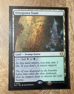 Mtg Overgrown Tomb - Lorwyn Eclipsed - Image 1