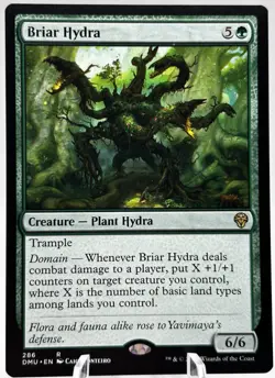 Briar Hydra 286 Dominaria United DMU MTG NM - Image 1