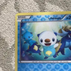 Pokemon | Oshawott 3D Promo JUMBO Card Lenticular Black Star & Cosmos Oshawott - Image 5