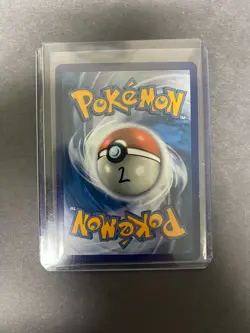 Pokemon TCG Tepig 13/25 Holo Foil Celebrations McDonalds Promo Near Mint (NM) - Image 2