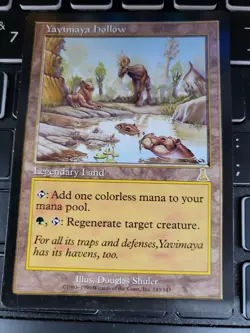 Yavimaya Hollow Urza's Destiny MTG - Image 1