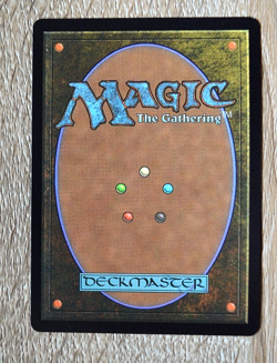 Lulu, Stern Guardian (Borderless) (Chocobo Track Foil) - FIC NM x1 - Image 2