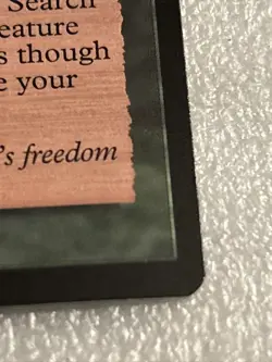 MTG NATURAL ORDER - VISIONS Magic Card - Image 4