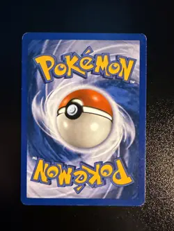 Pokemon Card : Teddiursa 109/144 ( Skyridge Set) (LP) - Image 2