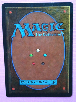 Magic the Gathering MTG Legends WALL OF WONDER LP/EX U 1994! - Image 3