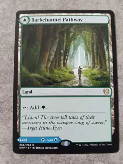 MTG Magic the Gathering - Barkchannel Pathway / Tidechannel Pathway - Kaldheim - Image 1