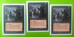 Magic the Gathering Unlimited BOG WRAITH X3 U (1 LP &2 HP) 1993 Vintage! - Image 1