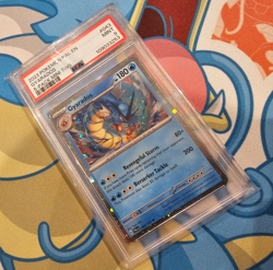 Gyarados - 2023 Pokemon Paldea Evolved 5-Pack Mini Tins #043 Costco Cosmos PSA 9 - Image 1