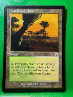 MTG Magic the Gathering - Windswept heath - Onslaught - Image 3