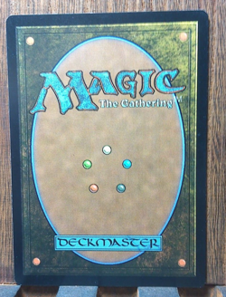 MTG✨Funeral Room / Awakening Hall (Borderless) Duskmourn: House of Horror NM!! - Image 2