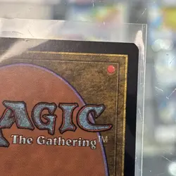 Ancient Tomb Tempest Regular - Image 4