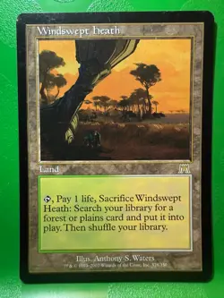 MTG Magic the Gathering - Windswept heath - Onslaught - Image 1