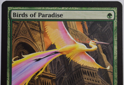 Magic the Gathering BIRDS OF PARADISE 168/249 Core Set 2010 - Near Mint - Image 3