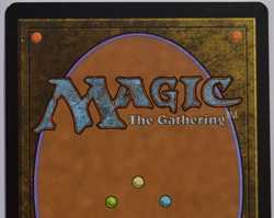 Magic the Gathering BIRDS OF PARADISE 168/249 Core Set 2010 - Near Mint - Image 5