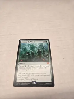 Awaken the Woods The Brothers' War Regular - Image 1