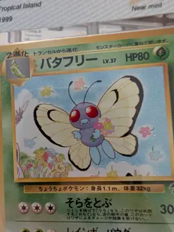 1999 Butterfree Southern Tropical Islands PROMO Pokemon Japanese N MINT PSA 9 🔥 - Image 3