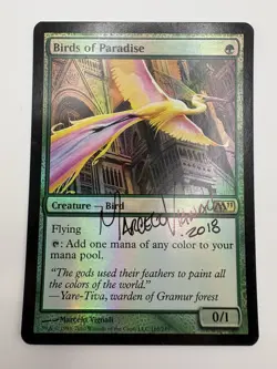 Magic The Gathering Birds of Paradise Holo M11 Artist Signed Card Rare NM - Image 3