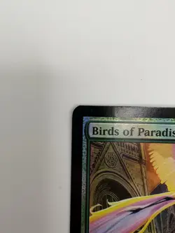 Magic The Gathering Birds of Paradise Holo M11 Artist Signed Card Rare NM - Image 4