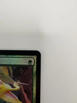 Magic The Gathering Birds of Paradise Holo M11 Artist Signed Card Rare NM - Image 5