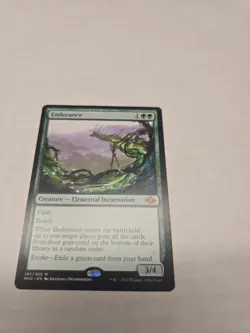 Endurance Modern Horizons 2 Regular - Image 1