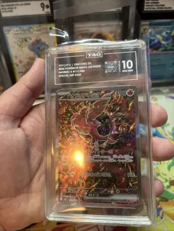 Pokemon Oricorio ex 111/080 SAR Japanese Special Art Rare TAG 10 Gem Mint - Image 4