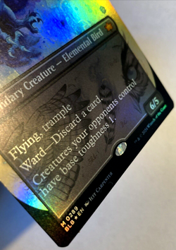 MTG Maha, Its Feathers Night BORDERLESS FOIL Bloomburrow 289 NM - Image 2