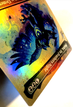 MTG Maha, Its Feathers Night BORDERLESS FOIL Bloomburrow 289 NM - Image 4
