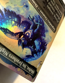 MTG Maha, Its Feathers Night BORDERLESS FOIL Bloomburrow 289 NM - Image 5