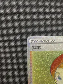 Pokemon Chinese Thorton Rainbow Secret Rare Full Art Trainer 210/196 - Image 4