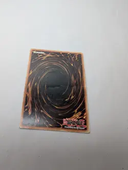 Blue-Eyes White Dragon - Ultra Rare - SDK-001 - Unlimited - Image 5