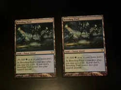MTG - Breeding Pool x2 - Dissension - Magic the Gathering - Image 1